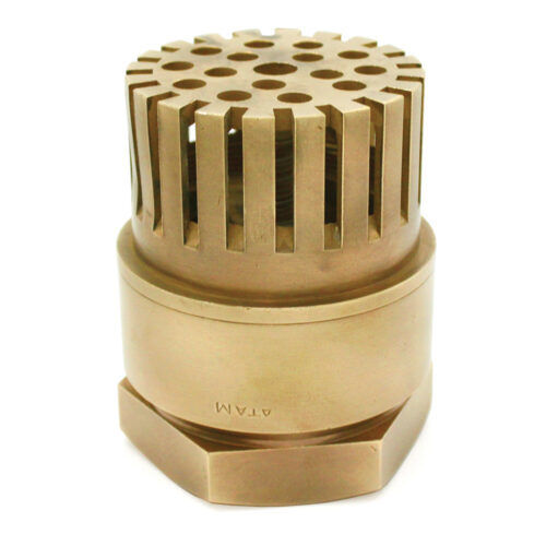 Screwed Ends Bronze Foot Valve Pn-20 Application: Water