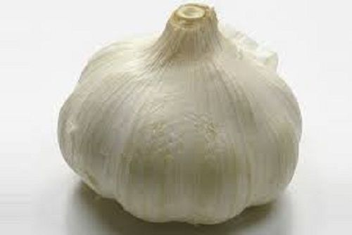 62.80% Moisture Raw Processing Seasoned Round Shape Fresh Garlic