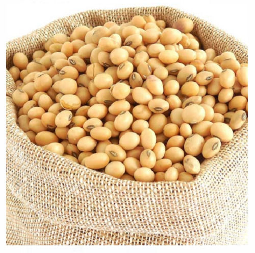96% Pure Organic Dried Raw Soya Beans For Cooking