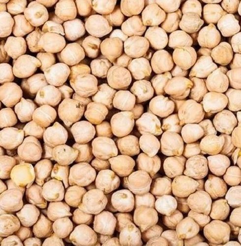 99% Purity Dried Round Shape Healthy Organic Kabuli Chana Admixture (%): 0.9%