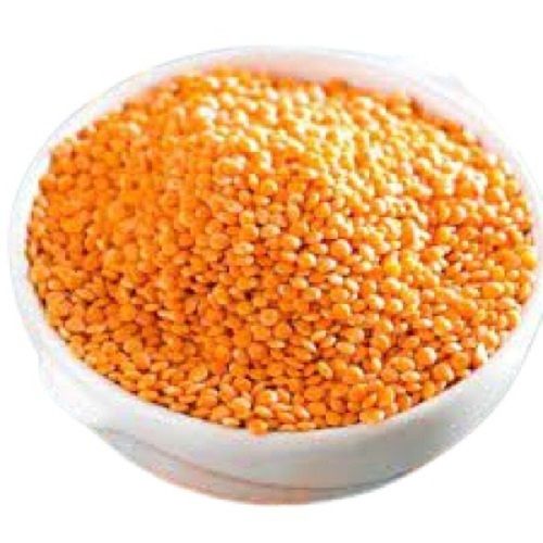 Commonly Cultivated Dried Round Edible Healthy Pure Masoor Dal