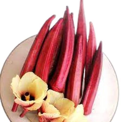 Farm Fresh Naturally Grown Elongated Shape Raw Lady Finger Moisture (%): 8%