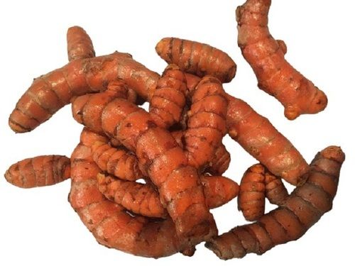 Farm Fresh Yellow Healthy Raw Turmeric Grade: A