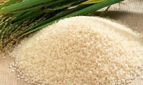 Short Grain White Indian Origin 100% Pure Samba Rice