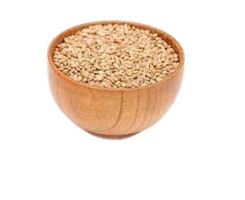 100% Pure A Grade Hard Wheat Grain Broken (%): 1%