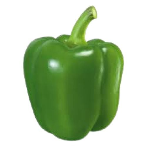 Farm Fresh Hygienically Packed Round Shape Green Capsicum Moisture (%): 85%