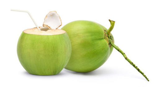 Green Fresh And Healthy Commonly Cultivated Round Whole Tender Coconut at  Best Price in Basti | Yadav Traders