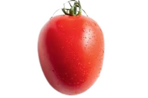 Hygienically Packed Farm Fresh Red Oval Shape Tomatoes