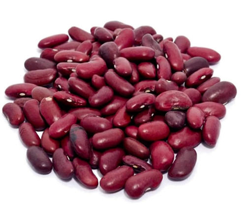 Commonly Cultivated 9.77% Moisture Oval Shape Kidney Beans  Broken Ratio (%): 0.5%