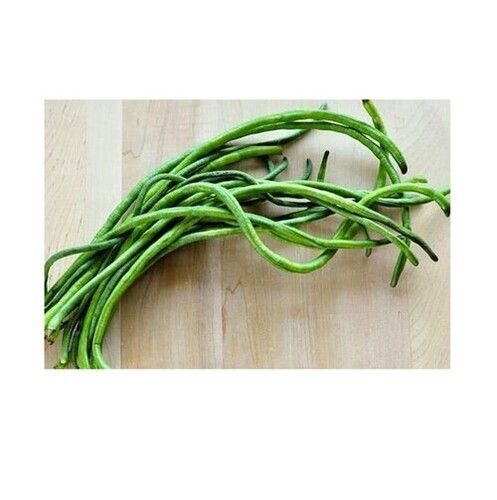 Good In Taste And Healthy Green Asparagus Bean For Cooking Use
