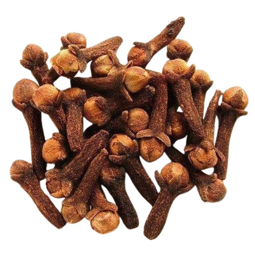 Brown No Preservative Pure And Dried Granule Cloves With One Year Shelf Life 