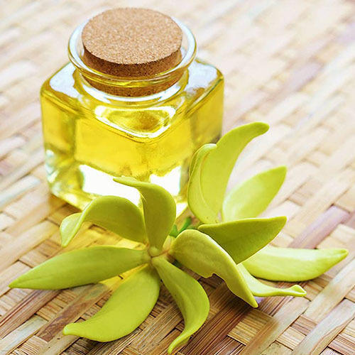 Ylang Ylang  