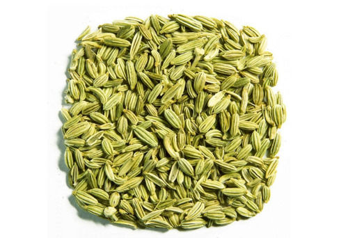 Green A Grade And Raw Dried Fennel Seeds