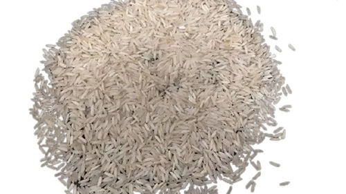 Dried Style Long Grain Non Broken Common Cultivated Basmati Rice