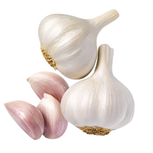 Pure And Natural Medium Size Garlic With Three Months Shelf Life 