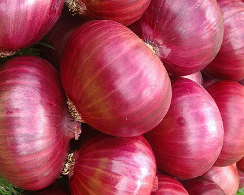 Pure And Natural Medium Size Raw Red Onion With Three Week Shelf Life 