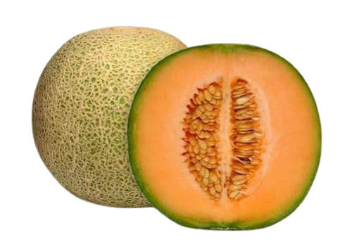 Brown Pure And Sweet Open Air Cultivated Round Muskmelon