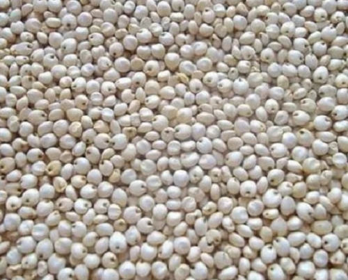 98% Pure And Sunlight Dried Commonly Cultivated Round Splited Jowar  Admixture (%): 0%