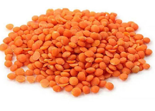 Free From Impurities Sunlight Dried Semi Round Masoor Dal Admixture (%): 0%