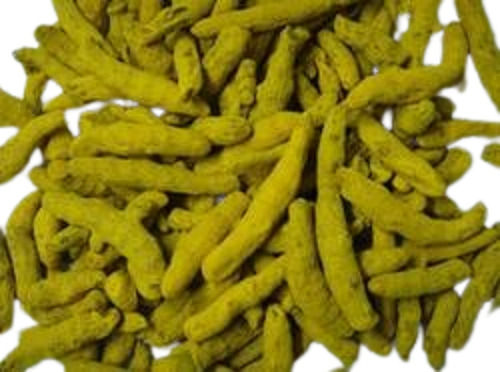 Yellow Pungent Taste Solid Dry Place Turmeric Fingers