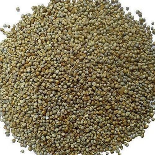 Raw Dried Pure And Natural Commonly Cultivated Organic Millet