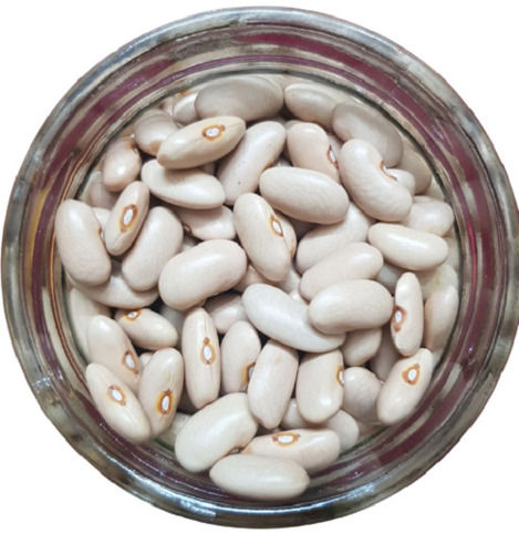 White Commonly Cultivated Pure And Dried Protein Rich Munsiyari Kidney Bean