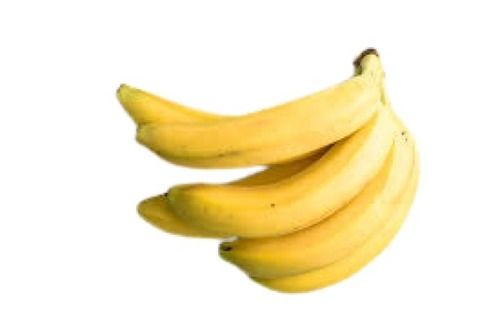 Natural Commonly Cultivated Sweet Taste Cavendish Banana