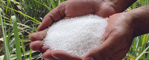 White Granular And Prilled Urea For Plant Growth And Agriculture