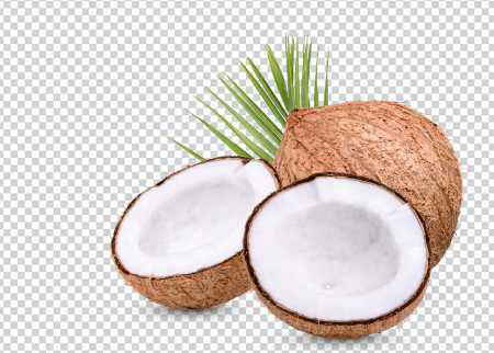 Organic Semi Husked Fresh Coconut