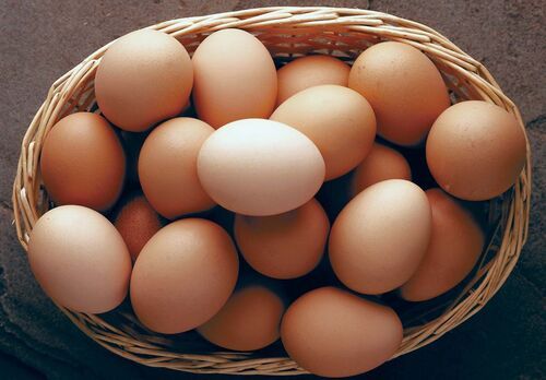  बेकरी और खाना पकाने के उपयोग के लिए प्रोटीन से भरपूर ताजा अंडा 