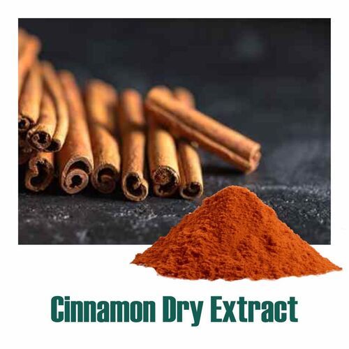 100% Natural Cinnamomum Cassia (Dalchini Extract) Powder