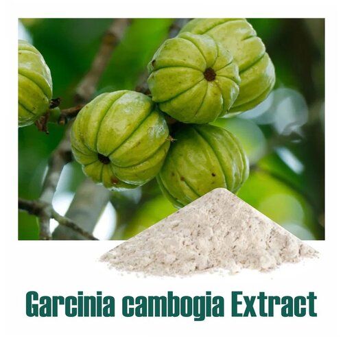 100% Natural Garcinia Cambogia (Dry Extract) Powder