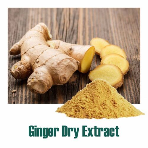 Zingiber officinale (Ginger Dry Extract)