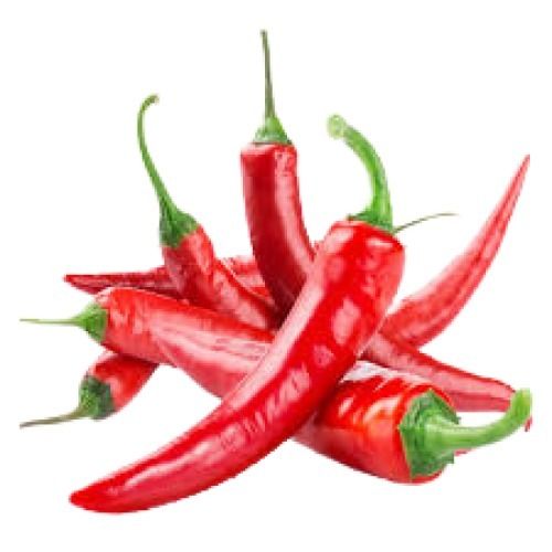 Red A Grade Naturally Gown Elongated Shape Natural Raw Fresh Chilli