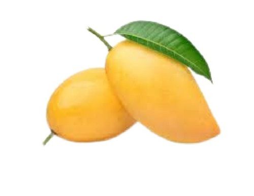 Yellow Indian Origin Naturally Grown Fresh Sweet Mango