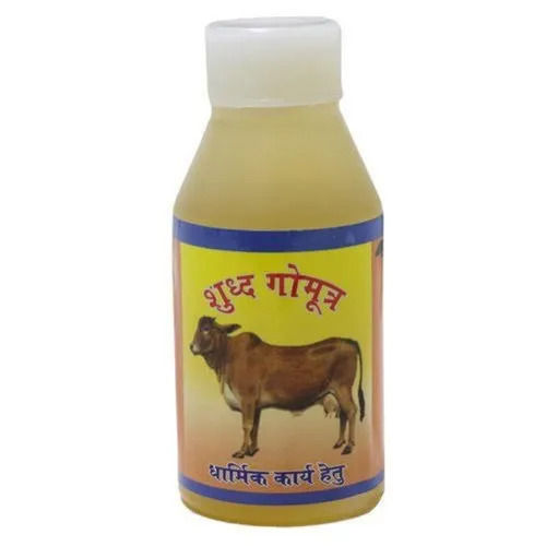 Transparent Pale Yellow Cow Urine For Personal Usage