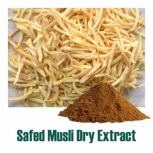 100% Natural Chlorophytum Borivilianum (Safed Musli Dry Extract) Powder
