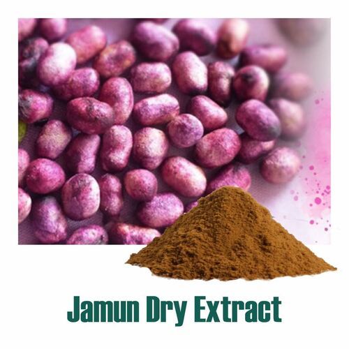100% Natural Euginia Jambolana (Jamun Dry Extract) Powder