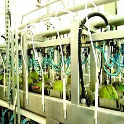 Multi / Assorted3 Coconut Water Plant Installation Service