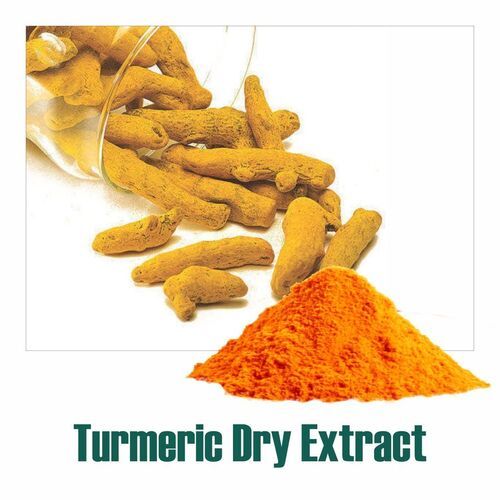 Curcuma longa (Turmeric Dry Extract) Powder