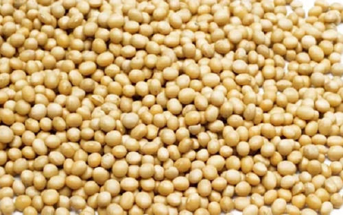 99% Pure Organic Dried Raw Round Shape Soya Beans 