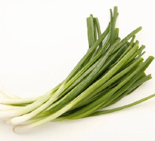 Organic Cultivated Small Size Hybrid Pure Raw A Grade Organic Spring Onion