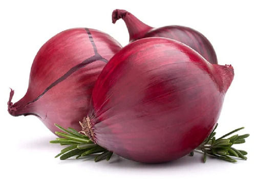 Pure Raw Organic Cultivated Small Size Hybrid Red Onions Moisture (%): 80%