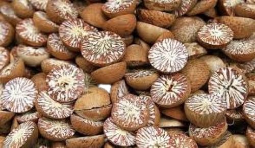 Round A Grade Small Size Chewable Commonly Cultivated Betel Nuts