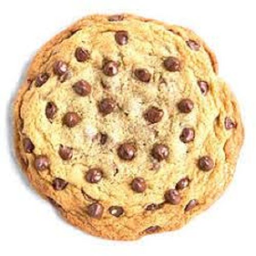 Delicious Tasty Round Hard Texture Sweet Chocolate Chip Cookies