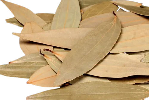 Pure and Dried Bay Leaf with 12 Months Shelf Life