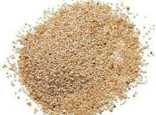 A-Grade Sun Dried Commonly Cultivated Nutty Sweet Taste Pure Healthy Poppy Seeds 