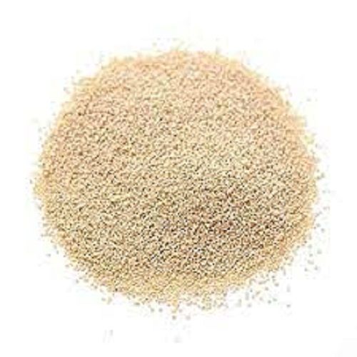 Hybrid Edible Commonly Cultivated Nutty Flavor Sun Dried Raw Healthy Poppy Seeds  Admixture (%): 14%