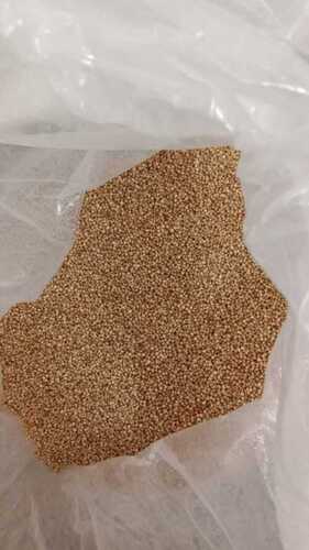 100% Purity Organic Natural Kodo Millet For Cooking Use