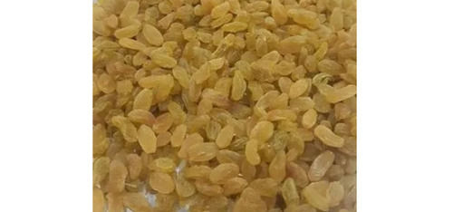 Grade-A Organic Iqf Freezed Non-Glutinous Dried Golden Raisin